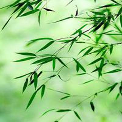 水煮三国腾讯版下载